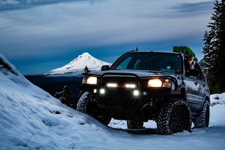 2003 Subaru Forester Monster